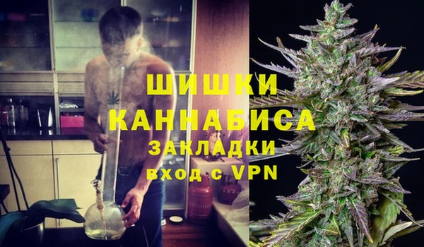 амф Арсеньев