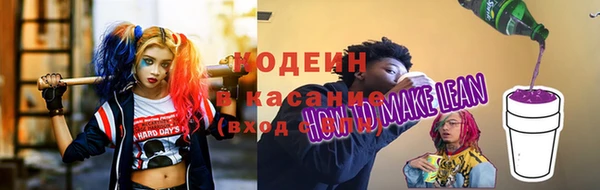 амф Арсеньев