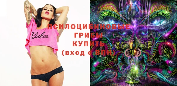 дживик Аркадак