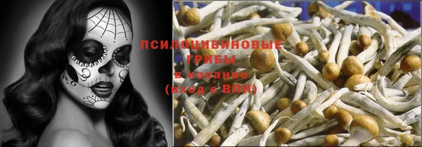 амф Арсеньев