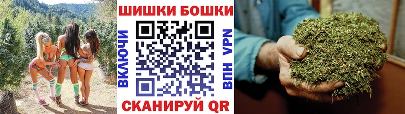 купить закладку  Людиново  Бошки Шишки план 